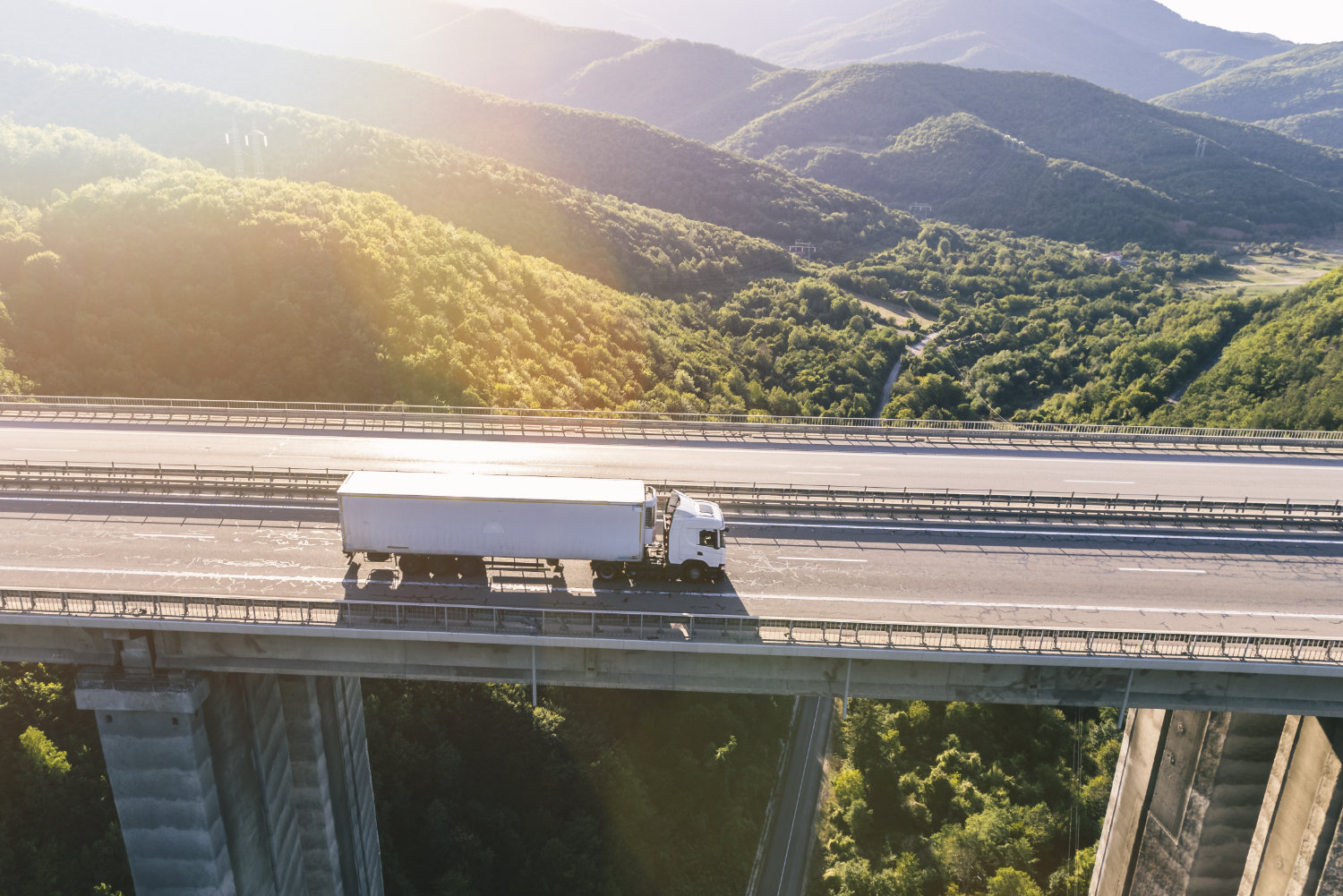 Insights for growing strong and resilient brands